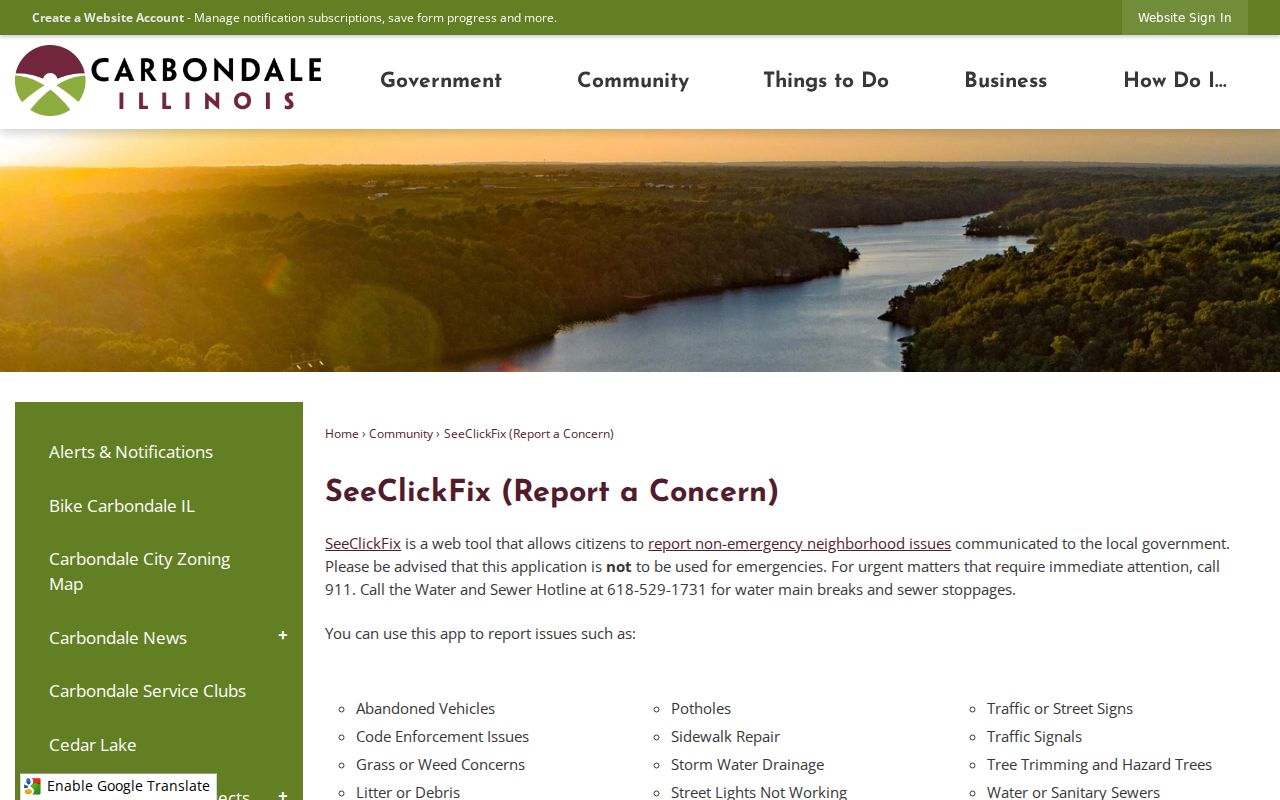 Carbondale public concern reporting by address